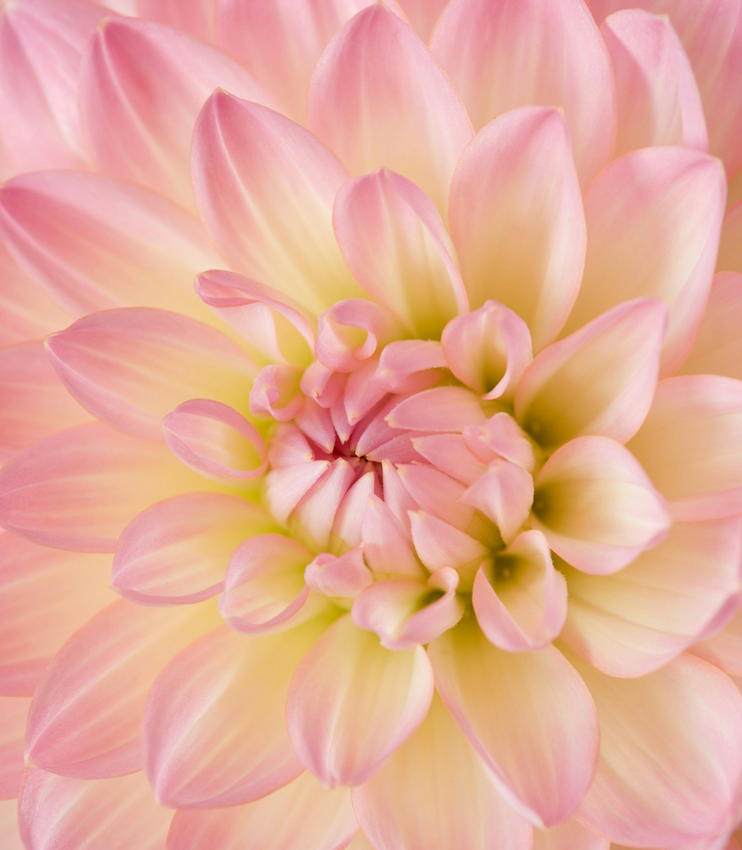 janine-joles-f0heeiu-Ec0-unsplash